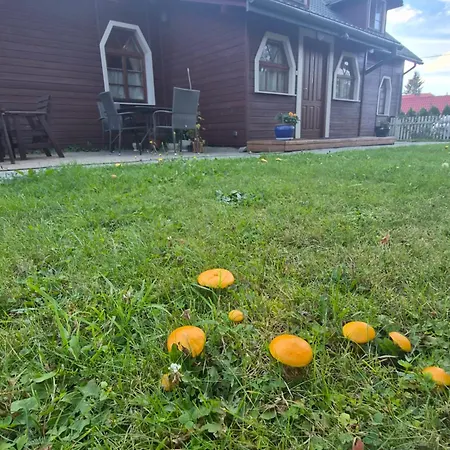 Alloggio per agriturismo Dziewanna Wysowa-Zdrój
